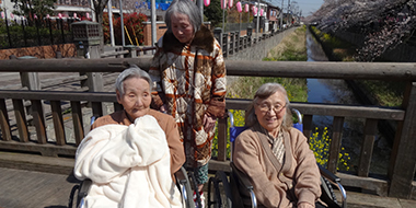 真間川は市川市でも有名な桜鑑賞スポット。穏やかな気候の下、幸せな気分になります。