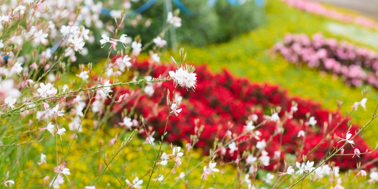 お散歩コースにも最適な「ゆいの花公園」には徒歩３分とすぐ近く。四季を感じられる場所です。